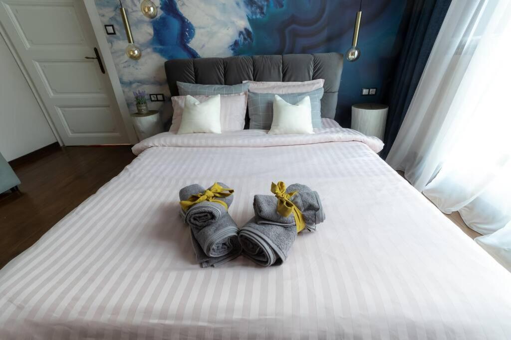 Top Central Design, 2 Bedroom, Ndk, Free Secured Parking 索菲亞 外观 照片